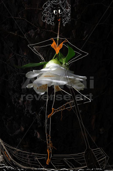 Ballerina in a boat.