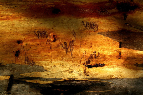 Camel drovers camp. Australian original art print.