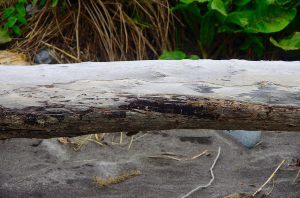 Cockatoo's waterhole. Australian original art print.