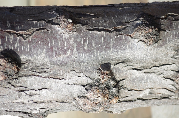 Jet skier in a storm. Australian original art print.