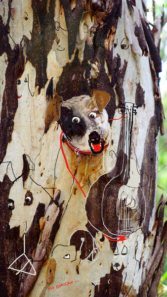 Banjo's Bush band serenade 5.  Australian original art print.