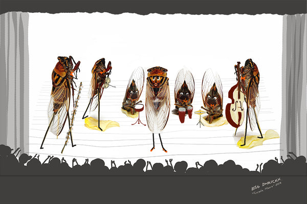 Cicada Mania 2 .   Australian original artwork.