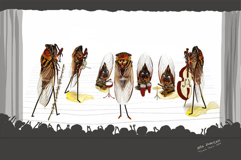 Cicada Mania 2 .   Australian original artwork.