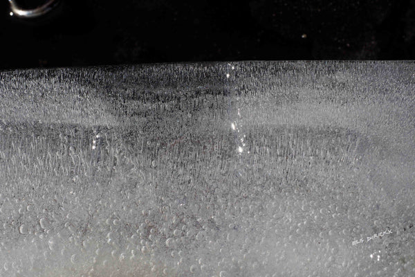 Ring-a-ring a Daisey . Australian original art print.