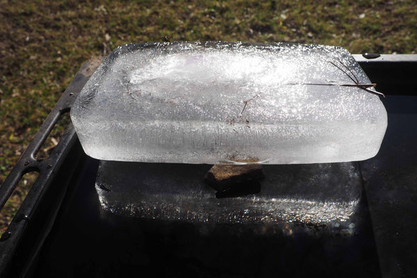 Ring-a-ring a Daisey . Australian original art print.