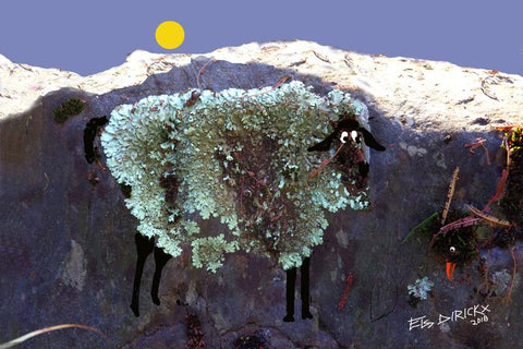 Shag on a rock. Series 2 MR AR 3x2 with moon  Australian original art print.