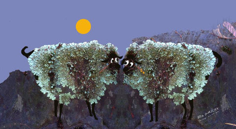 Two shags on a rock (full moon). Australian original art print.