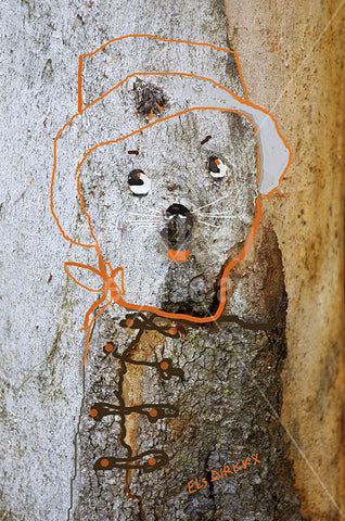 Bear in a coat. 
