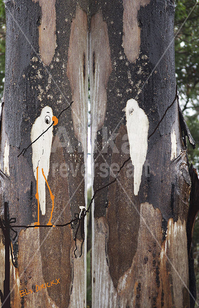 Bird walking a tight rope.  Australian original art print.