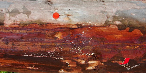 Bird watching in the dry red centre. Rev C.  Australian original art print.