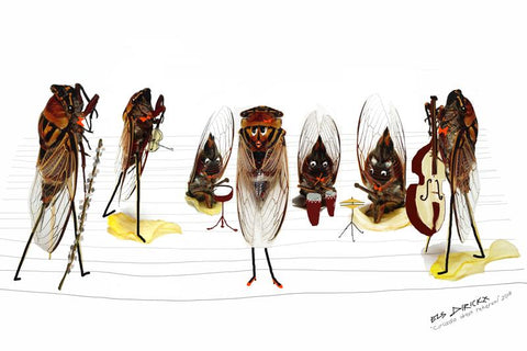 Cicadas dress rehearsal. Australian original art print.