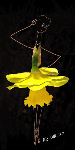Dancing Daffodil.  Australian original art print.