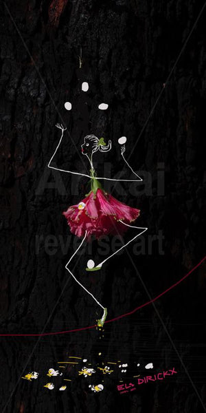 "Juggler on a rope". hibiscus flower