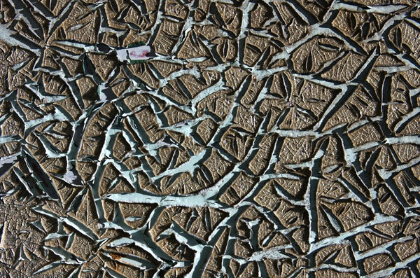 Lots and Lots of Birds. Australian original art print.