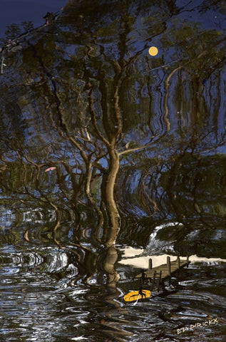 Reflections of Thirlmere Lakes. Original Australian Art print