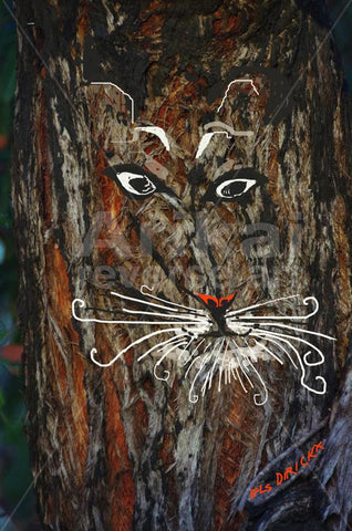 Tigger the tiger with Curly Whiskers. Australian original art print.