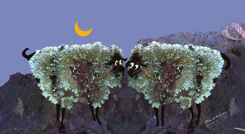 Two shags on a rock (Quarter moon). Australian original art print.
