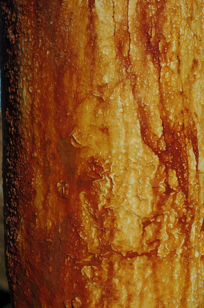 Outback holiday in the bull dust. Australian original art print.
