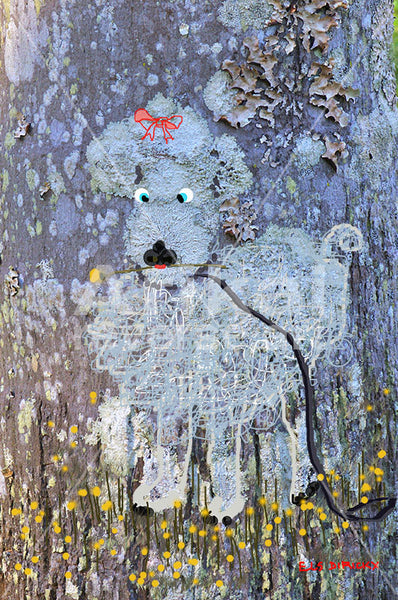 Poodle in a paddock Australian original art print
